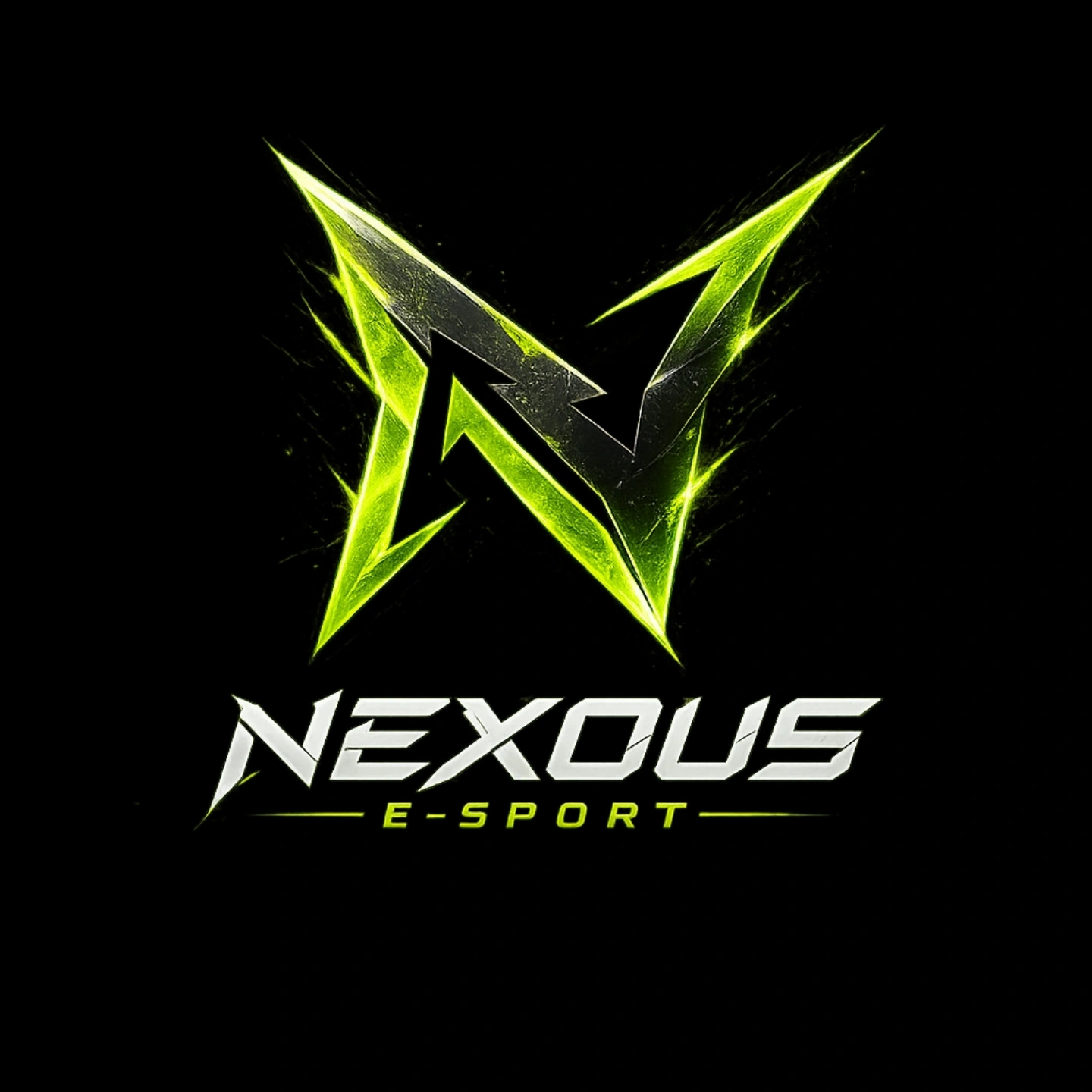 🎮 NEXOUS E-SPORT  🎮